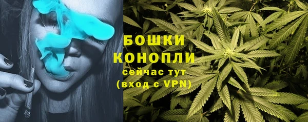 МДПВ Никольск