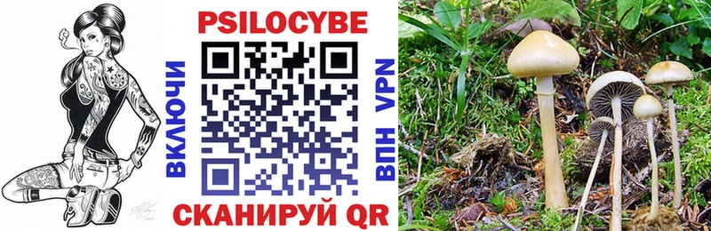 Псилоцибиновые грибы прущие грибы  где купить   Топки 