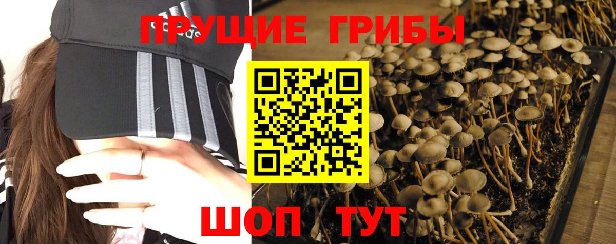 Псилоцибиновые грибы ЛСД  Вход с VPN  Псилоцибиновые грибы ЛСД  Топки 
